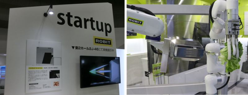 写真2-4. CUTR(カトル)によるレタスの芯除去のデモ